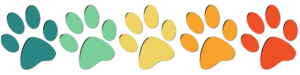 Five paw prints in a row, blue, mint, yellow, orange, red